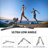 WEYLLAN LX9G Carbon Fiber Heavy Duty Bowl Tripod