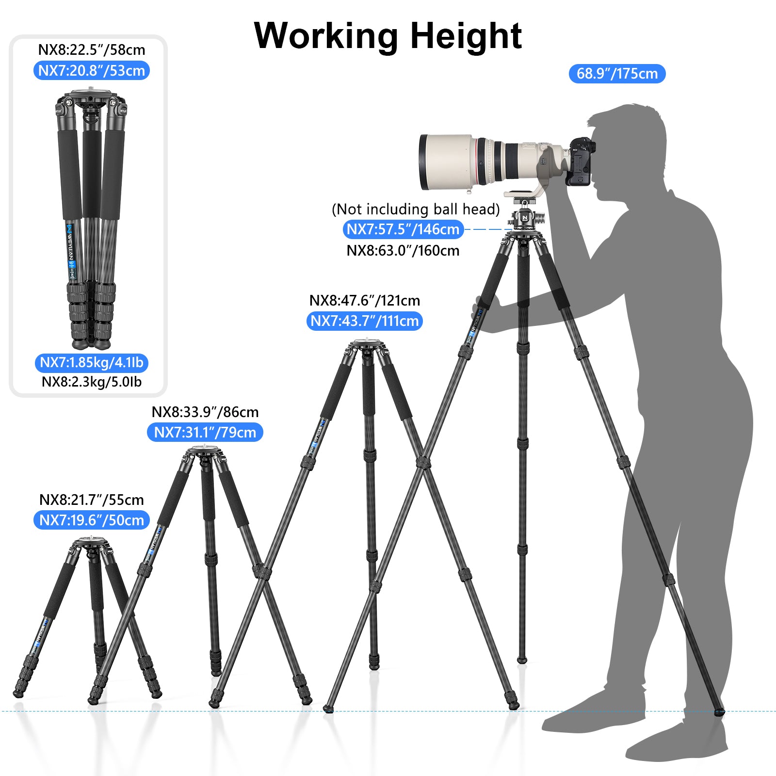 WEYLLAN NX7 Carbon Fiber Tripod with 75mm Bowl and Adapter