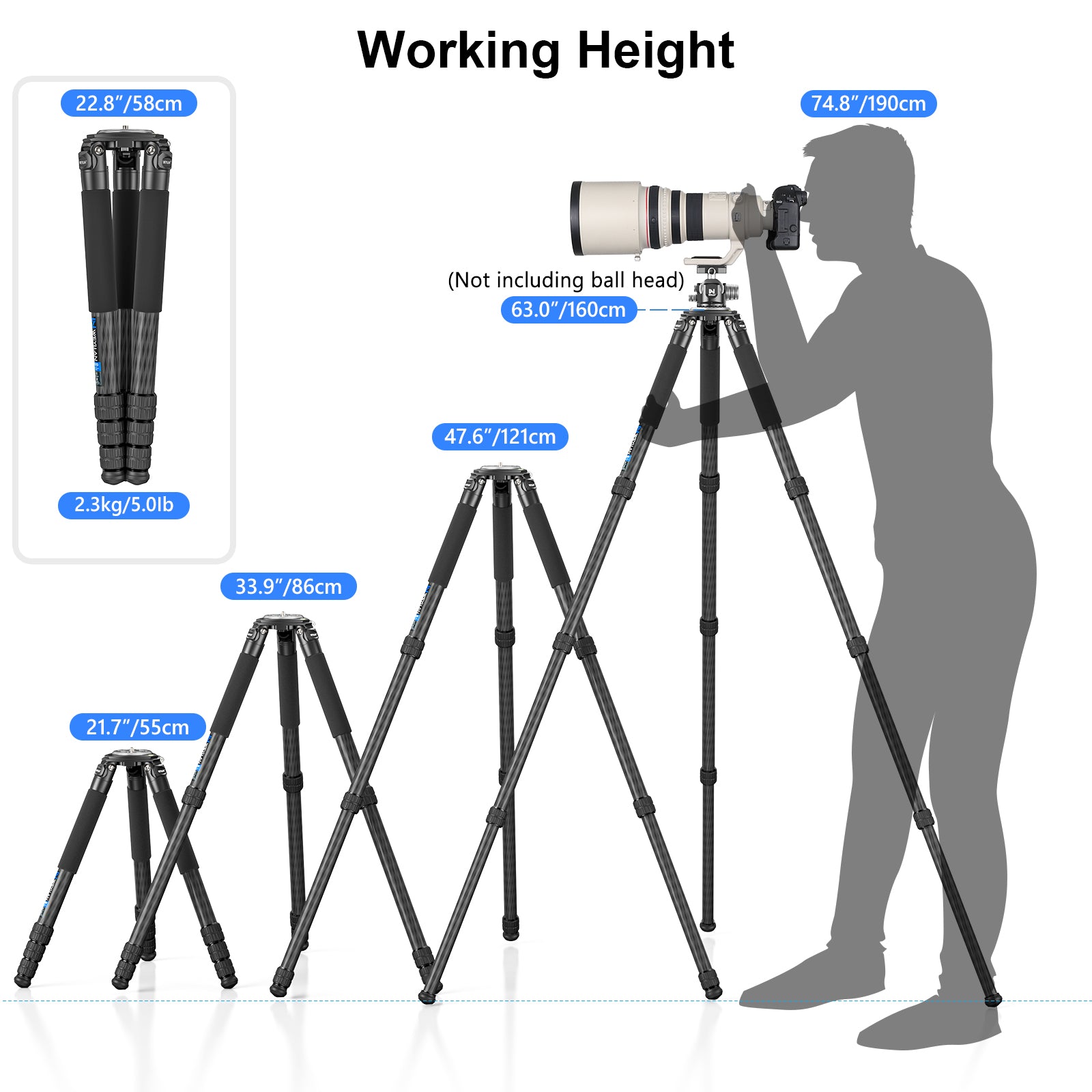 WEYLLAN NX8 Carbon Fiber Tripod